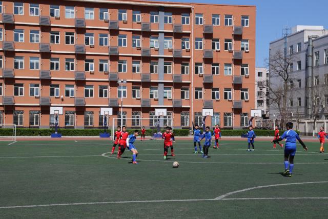 杨瀚森22+11青岛胜辽宁 王哲林13分上海胜江苏